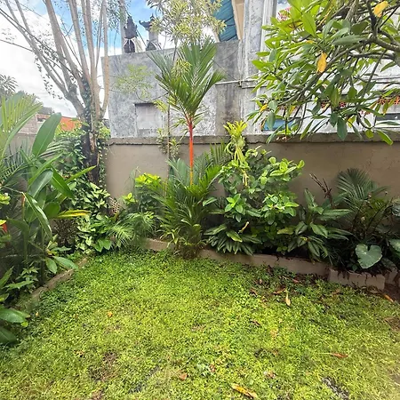 Private Room In Ubud Near Real Bali Swing