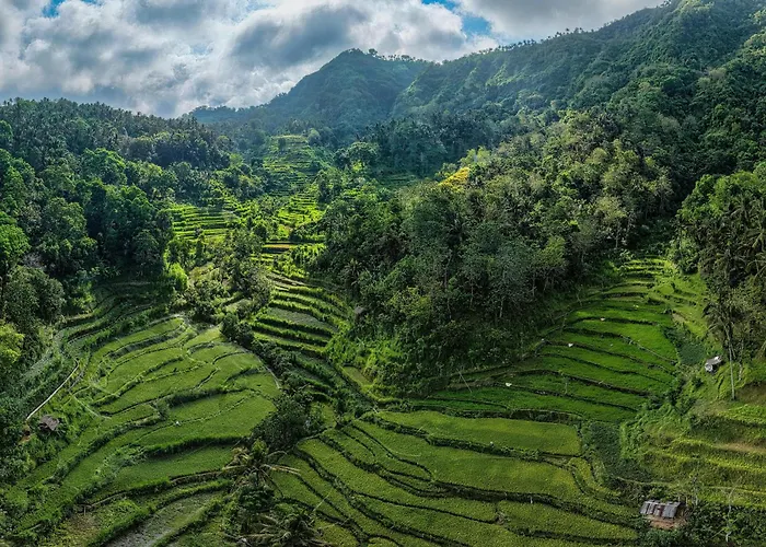 Private In Near Real Bali Swing بيت ضيافة أوبود